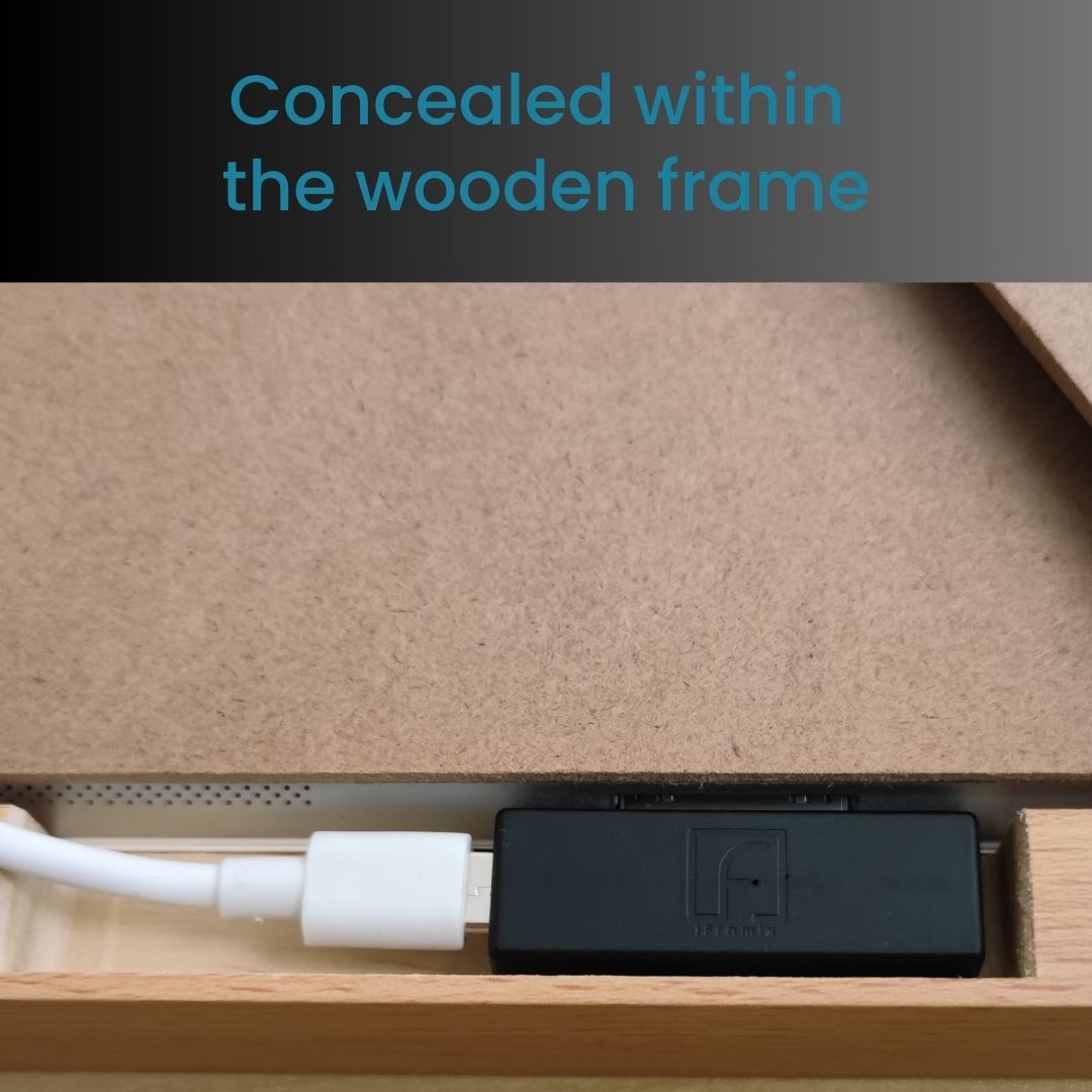 iCharguard- Smart Charging Module for Old iPads - iFramix